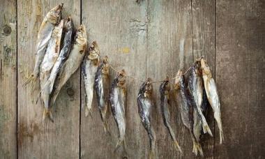 Taranka: secrets of preparing dried fish at home