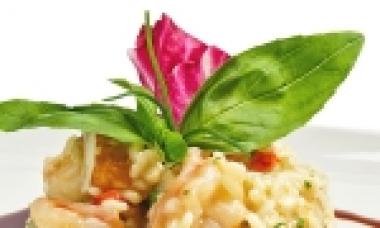 Соус болоньєзе - ідеальне доповнення макаронних виробів Як приготувати спагетті під соусом болоньєзе