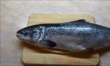 ปลาแซลมอนในเตาอบ: สูตรอาหารพร้อมรูปถ่าย