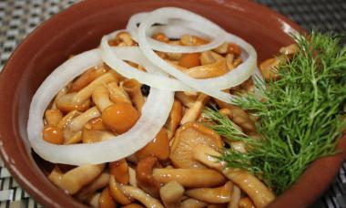 Pickled honey mushrooms, recipe
