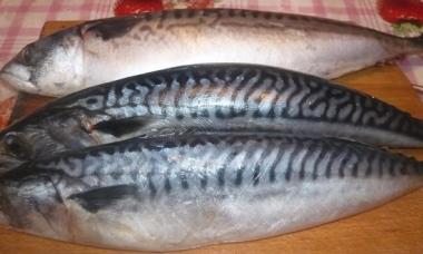 Stuffed mackerel with gelatin: a simple recipe