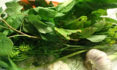 Çıtır hafif tuzlu salatalık - basit ve lezzetli tarifler